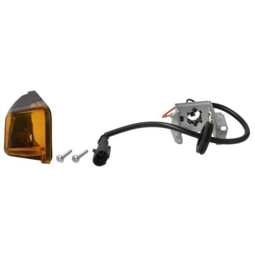 TRUCKLIGHT Blinkleuchte CL-IV015R