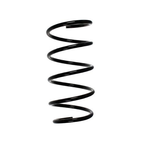 SPIDAN Fahrwerksfeder 55089