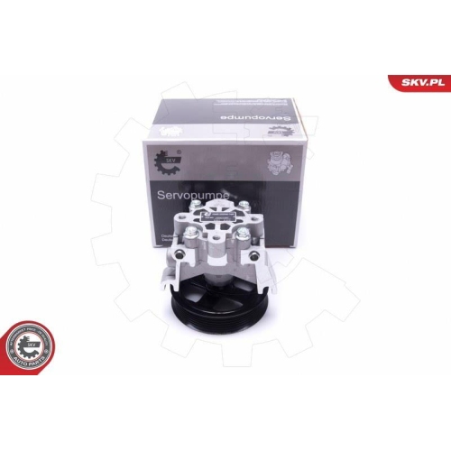 ESEN SKV Hydraulikpumpe, Lenkung