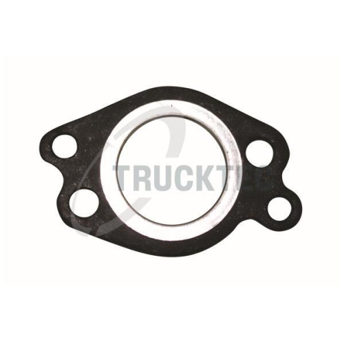 TRUCKTEC AUTOMOTIVE Dichtung, AGR-Ventil 02.16.076
