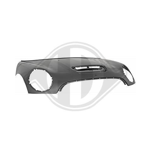 DIEDERICHS Motorhaube 1206800