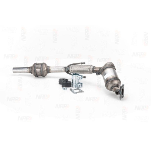 NAP carPARTS Katalysator CAK11521