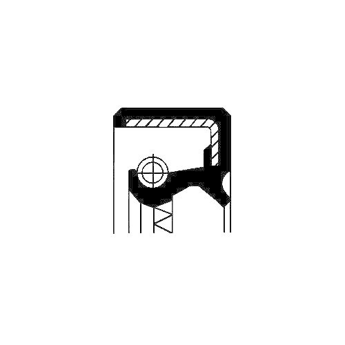 CORTECO Wellendichtring, Einspritzpumpe 12012713B