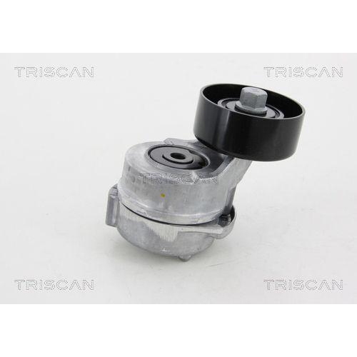 TRISCAN Riemenspanner, Keilrippenriemen 8641 432005