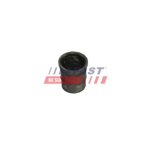 FAST Dichtung, Kraftstofftankverschluss FT48903
