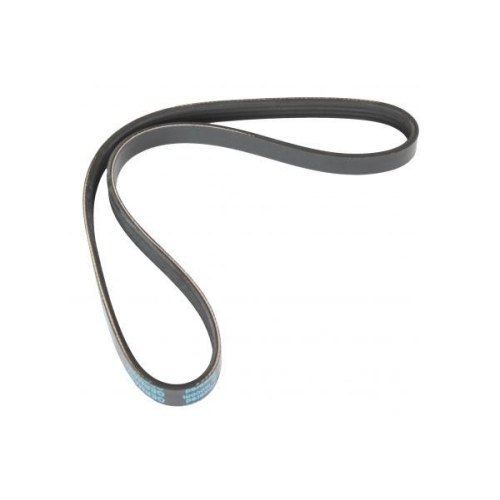 MAPCO Keilrippenriemen 240775