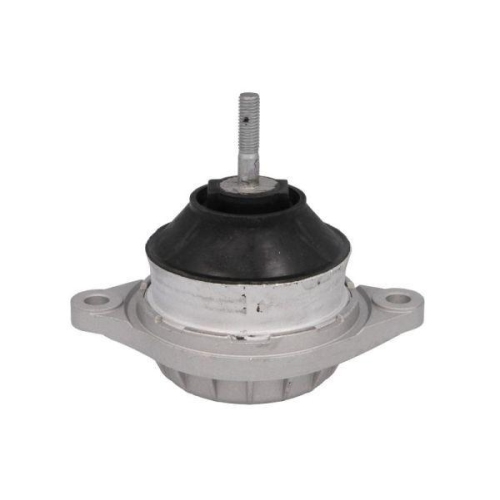 REINHOCH Lagerung, Motor RH11-0002
