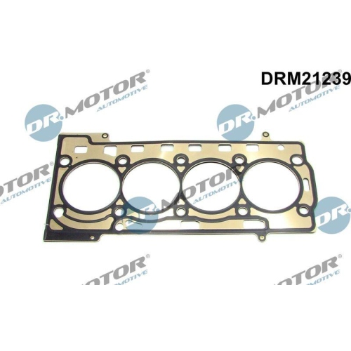Dr.Motor Automotive Dichtung, Zylinderkopf