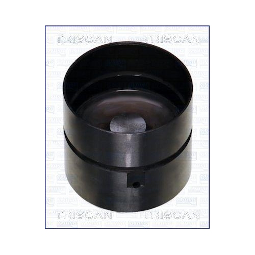 TRISCAN Ventilst&ouml;&szlig;el 80-23002