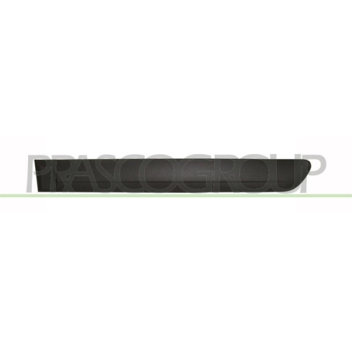 PRASCO Zier-/Schutzleiste, T&uuml;r HN3311454