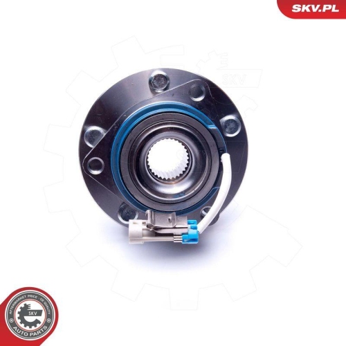 ESEN SKV Radlagersatz 29SKV433