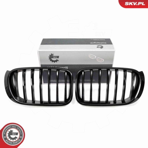 ESEN SKV Kühlergitter