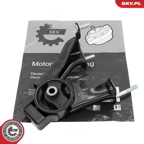 ESEN SKV Lagerung, Motor