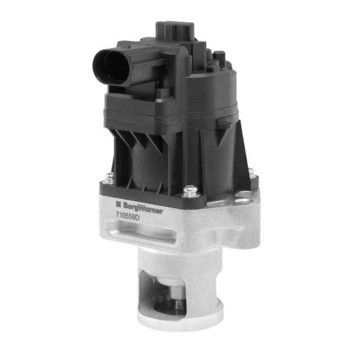 BorgWarner AGR-Ventil 710559D