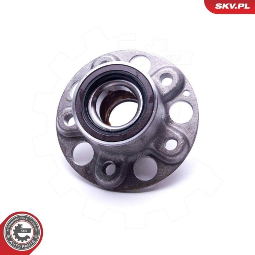 ESEN SKV Radlagersatz 29SKV509