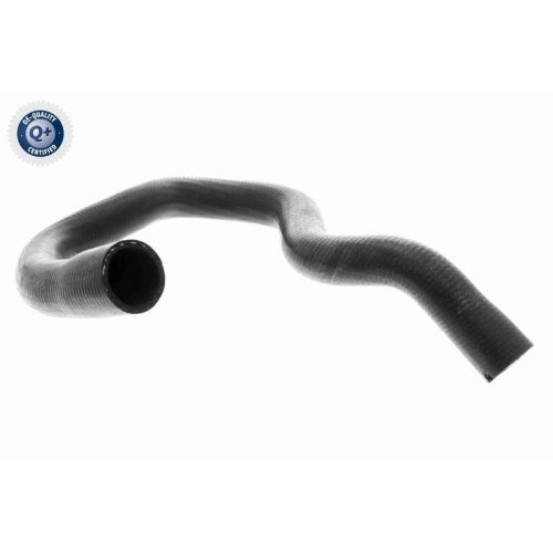 VAICO K&uuml;hlerschlauch Q+, Erstausr&uuml;sterqualit&auml;t V40-1779