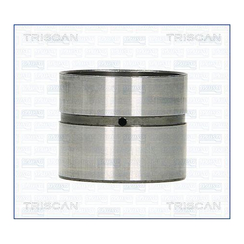 TRISCAN Ventilst&ouml;&szlig;el 80-24002