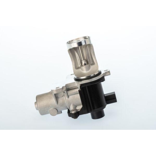 BorgWarner AGR-Ventil 710571D