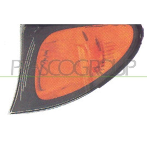 PRASCO Blinkleuchte TYC BM0204004