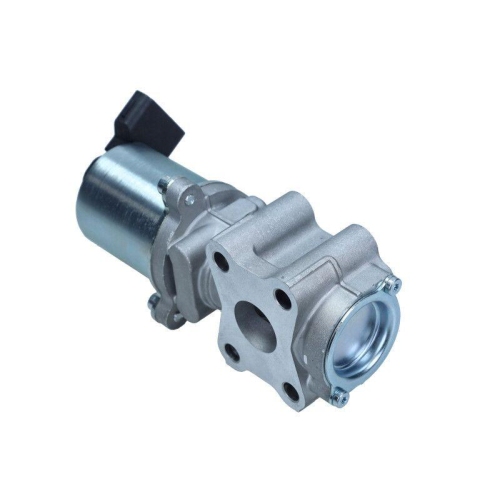 MAXGEAR AGR-Ventil 27-4160