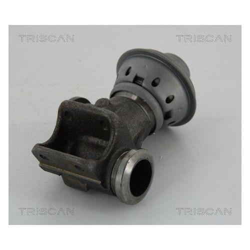 TRISCAN AGR-Ventil 8813 28013