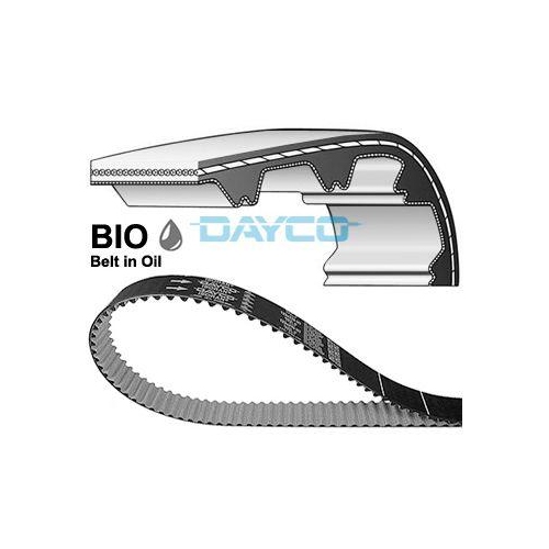 DAYCO Zahnriemen 941163