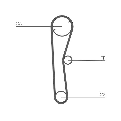 CONTINENTAL CTAM Zahnriemen CT674