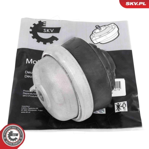 ESEN SKV Lagerung, Motor