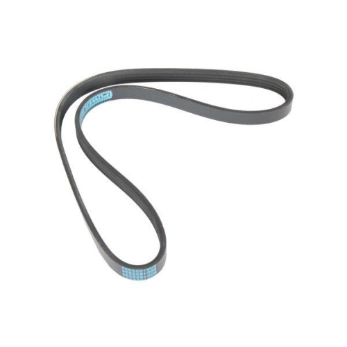 MAPCO Keilrippenriemen 240855