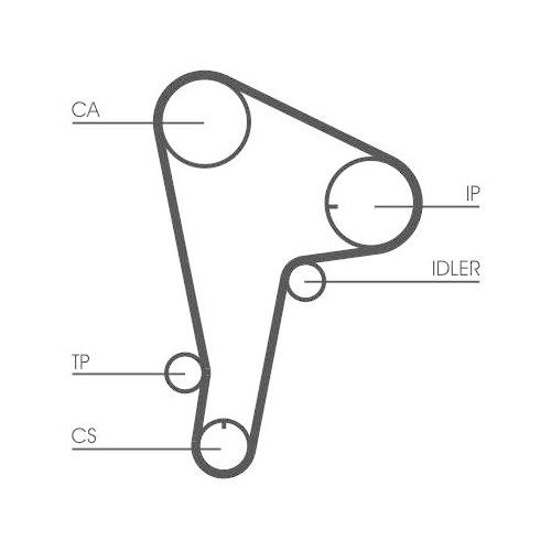 CONTINENTAL CTAM Zahnriemen CT721