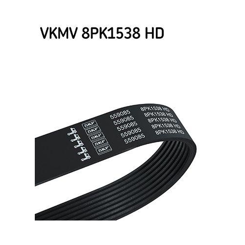 SKF Keilrippenriemen VKMV 8PK1538 HD