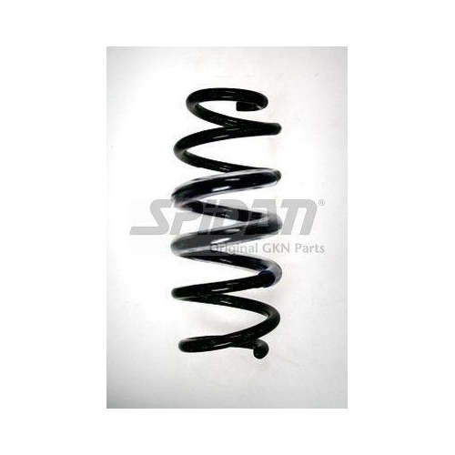 SPIDAN Fahrwerksfeder