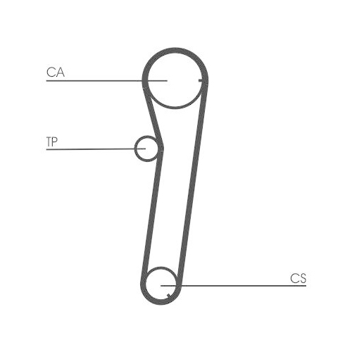 CONTINENTAL CTAM Zahnriemen CT739
