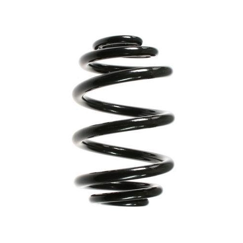 SPIDAN Fahrwerksfeder 55123