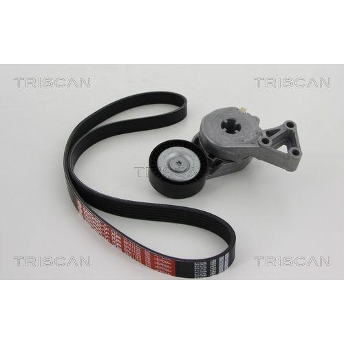TRISCAN Keilrippenriemensatz 8642 29003