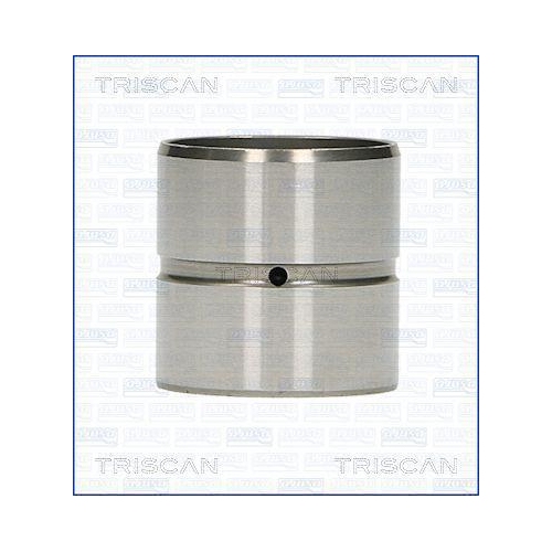 TRISCAN Ventilst&ouml;&szlig;el 80-29001