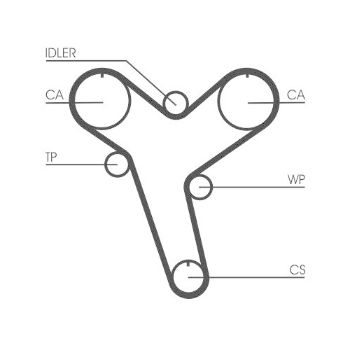 CONTINENTAL CTAM Zahnriemen CT894