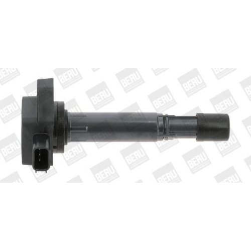 BorgWarner (BERU) Z&uuml;ndspule ZSE170