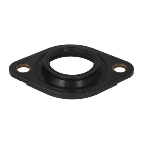 ENGITECH Dichtring, Einspritzventil ENT250389/1