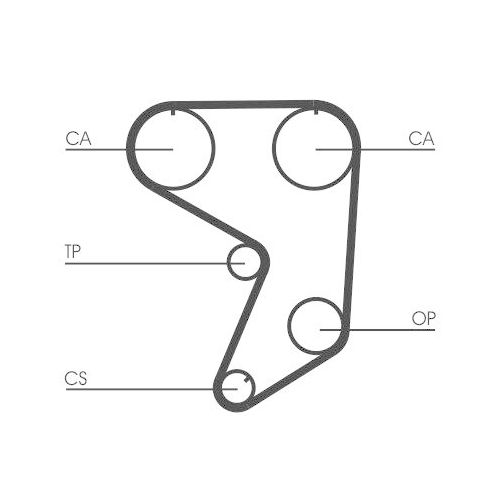 CONTINENTAL CTAM Zahnriemen CT900