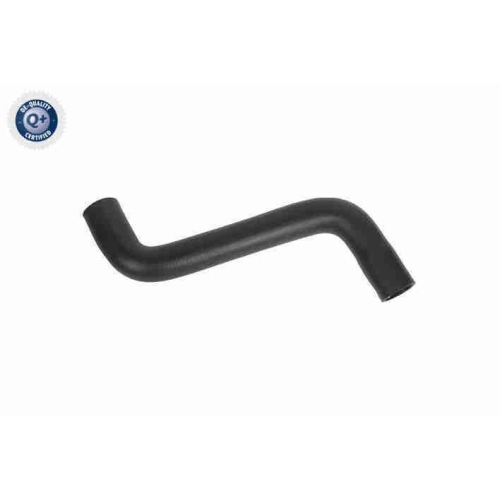 VAICO K&uuml;hlerschlauch Q+, Erstausr&uuml;sterqualit&auml;t