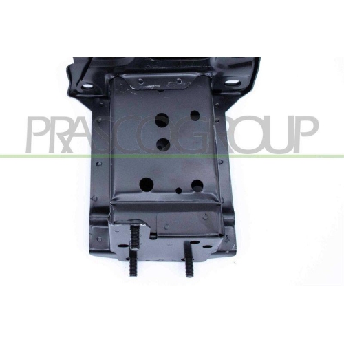 PRASCO Tr&auml;ger, Sto&szlig;f&auml;nger DS7001604