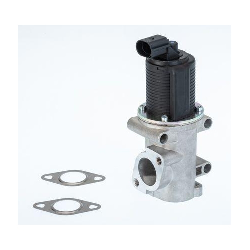 BorgWarner AGR-Ventil 710770D