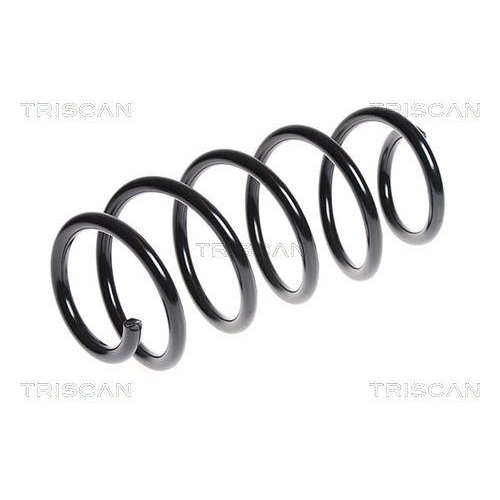 TRISCAN Fahrwerksfeder 8750 29253