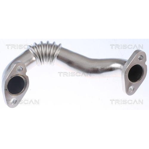 TRISCAN Rohrleitung, AGR-Ventil 8811 29108