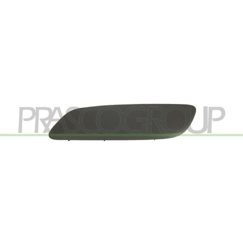 PRASCO Zier-/Schutzleiste, Sto&szlig;f&auml;nger PremiumCertified PG4221234