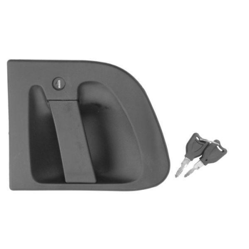 PACOL T&uuml;rau&szlig;engriff RVI-DH-001R