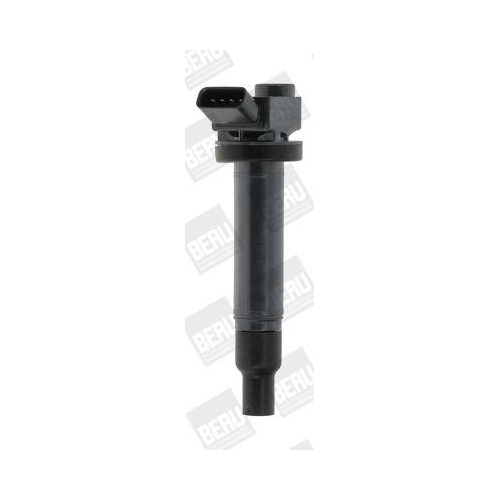 BorgWarner (BERU) Z&uuml;ndspule ZSE173