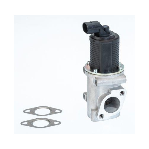 BorgWarner AGR-Ventil 710772D