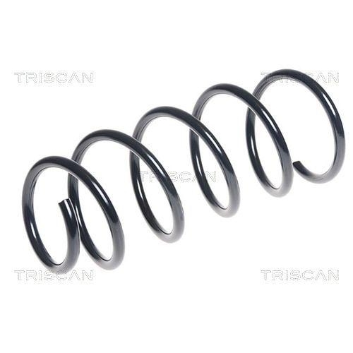 TRISCAN Fahrwerksfeder 8750 29262